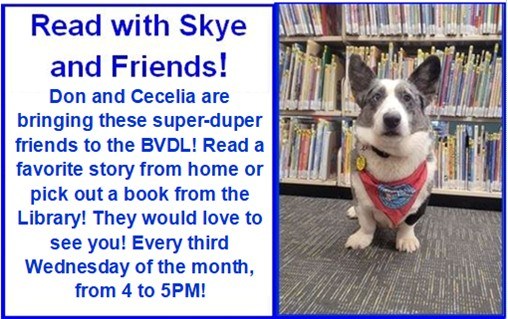 Skye, a Welsh corgi and Reading Therapy dog sits in front a bookcase filled with books